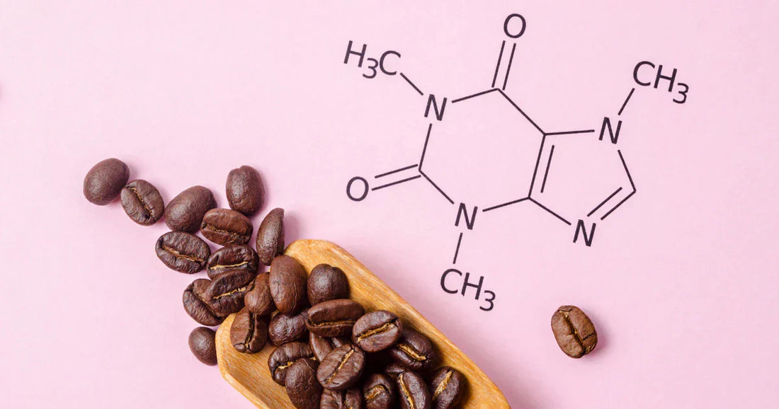 Wie viel Koffein hat Kaffee? – Dein Guide für bewussten Genuss